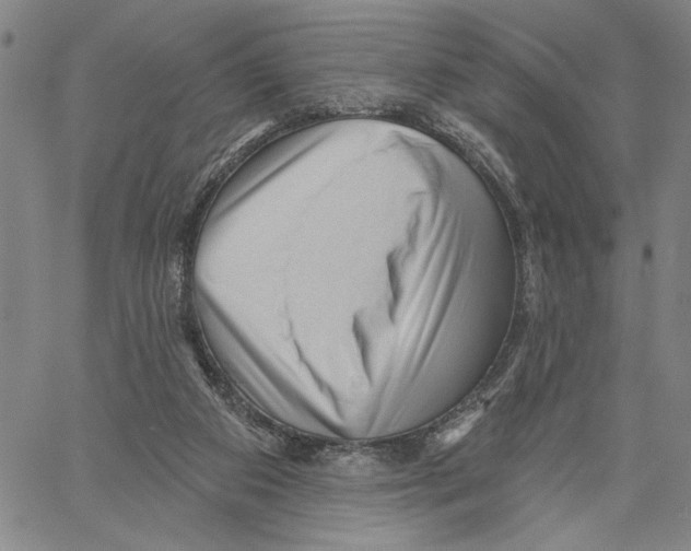 X0000060560113200512011652