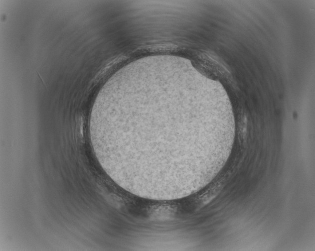 X0000060560115200512011652
