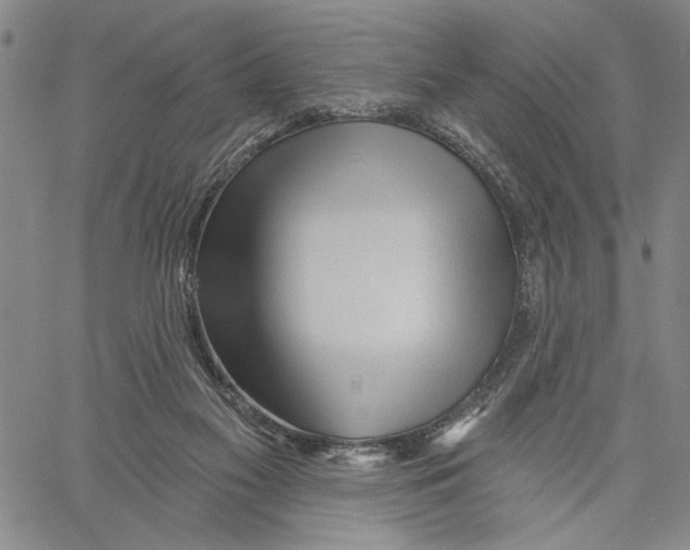 X0000060560117200512011652