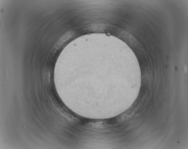 X0000060560120200512011652