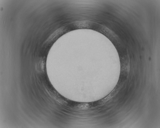 X0000060560124200512011652