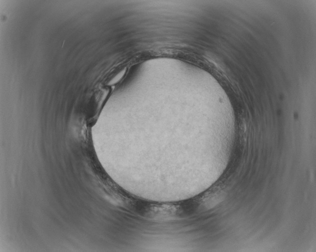 X0000060560125200512011652