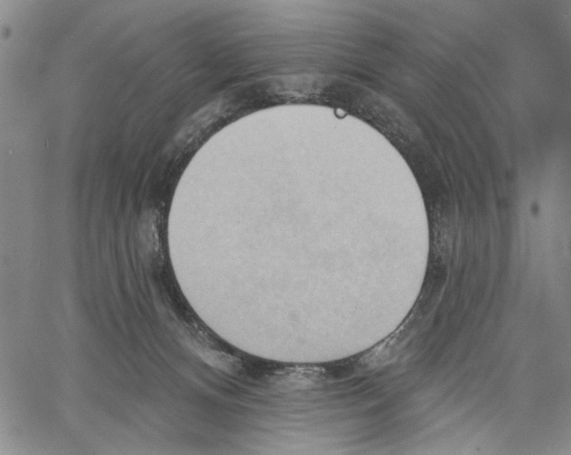 X0000060560128200512011651