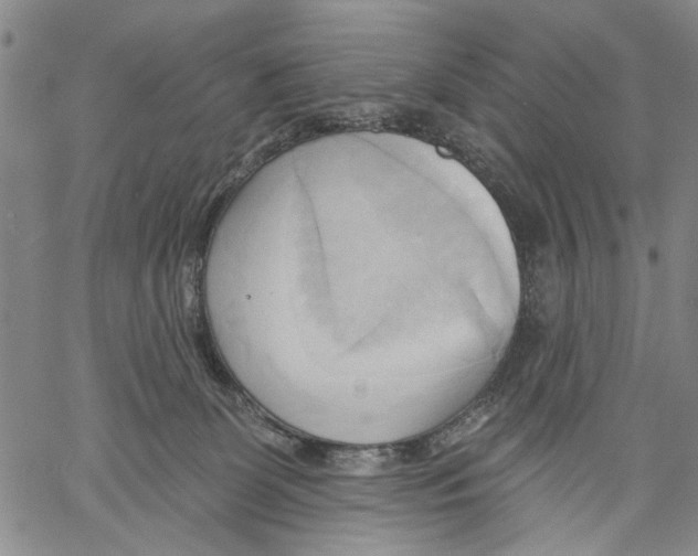 X0000060560131200512011651