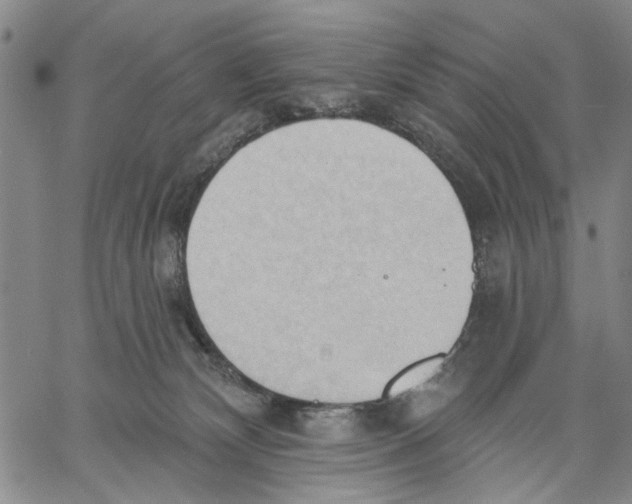 X0000060560132200512011651