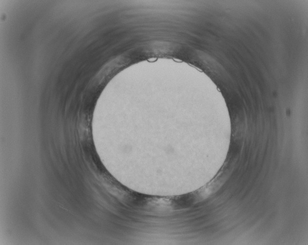 X0000060560140200512011651