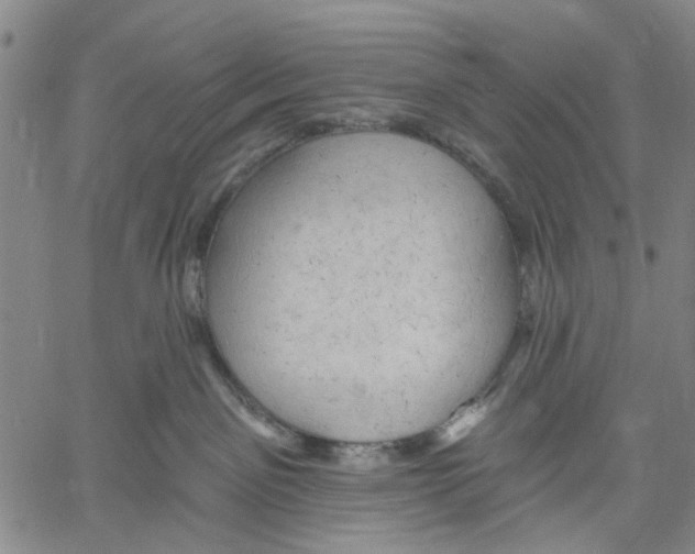 X0000060560141200512011651