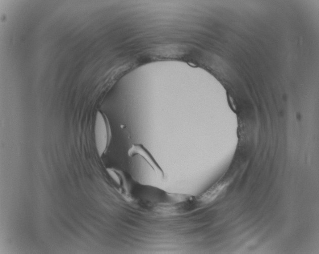 X0000060560143200512011651