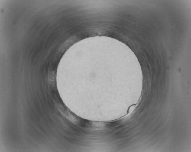 X0000060560144200512011651