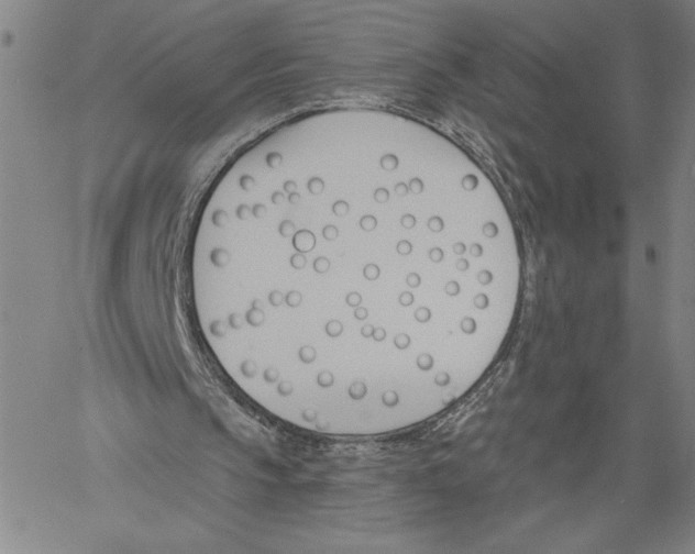 X0000060560145200512011650