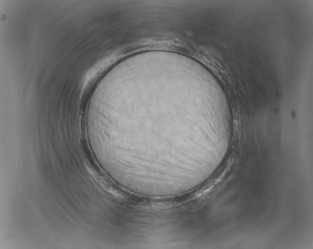 X0000060560149200512011650