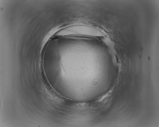 X0000060560152200512011651