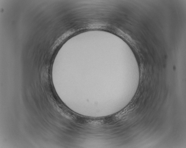 X0000060560155200512011651