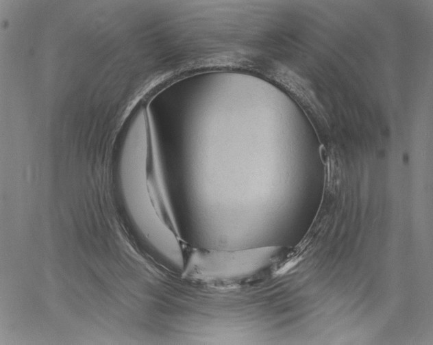 X0000060560156200512011651