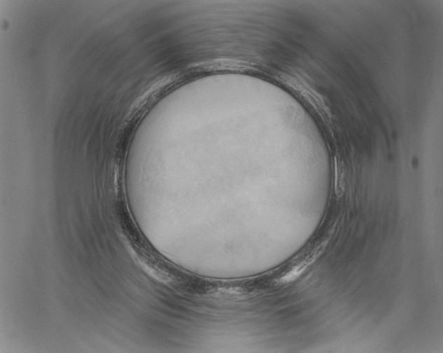 X0000060560157200512011651