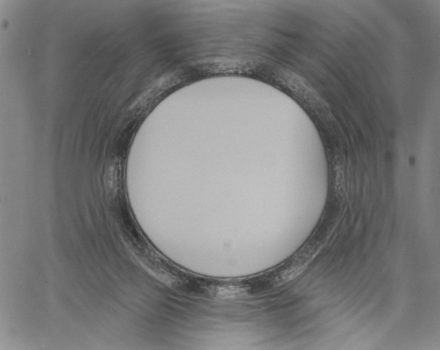 X0000060560165200512011651