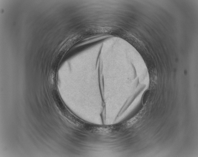 X0000060560166200512011651