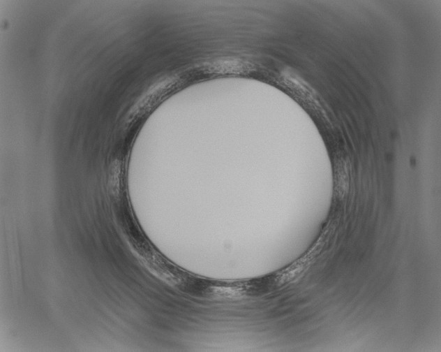 X0000060560167200512011651
