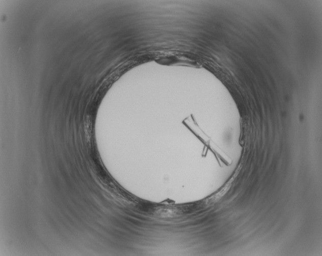 X0000060560174200512011651
