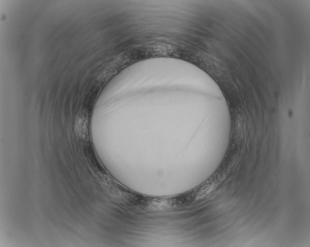 X0000060560177200512011651