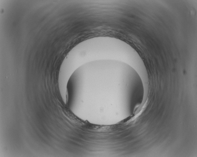 X0000060560186200512011651
