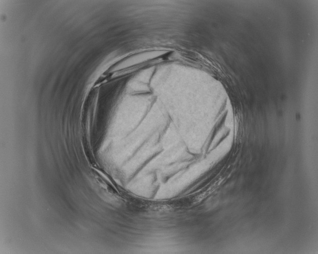 X0000060560195200512011650