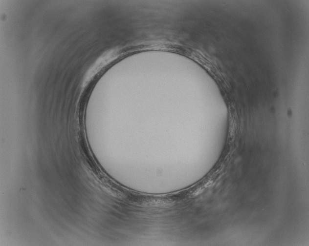 X0000060560198200512011650
