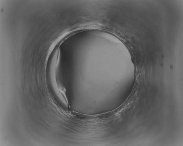 X0000060560200200512011650