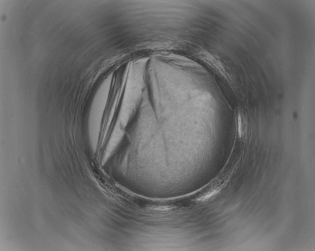 X0000060560205200512011650