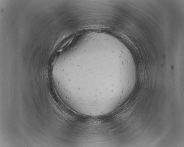 X0000060560207200512011650