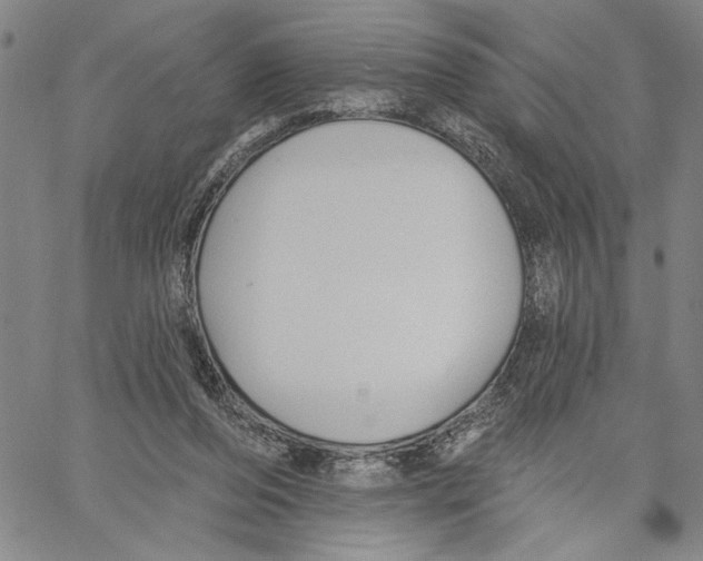 X0000060560208200512011650
