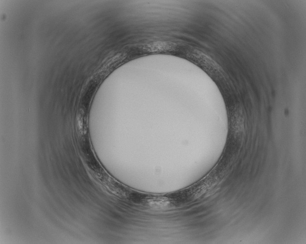 X0000060560214200512011650
