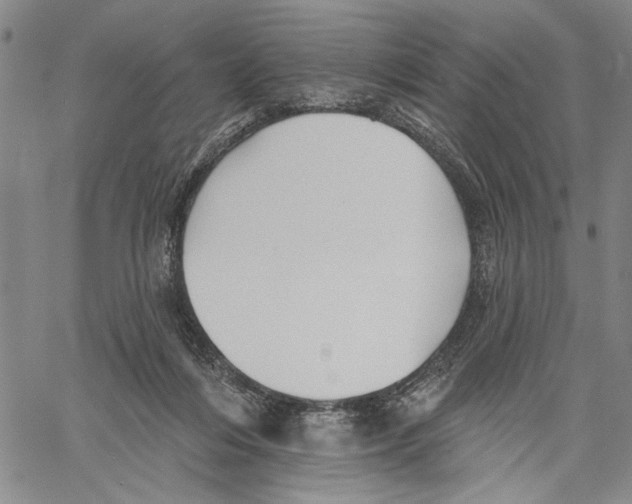 X0000060560216200512011650