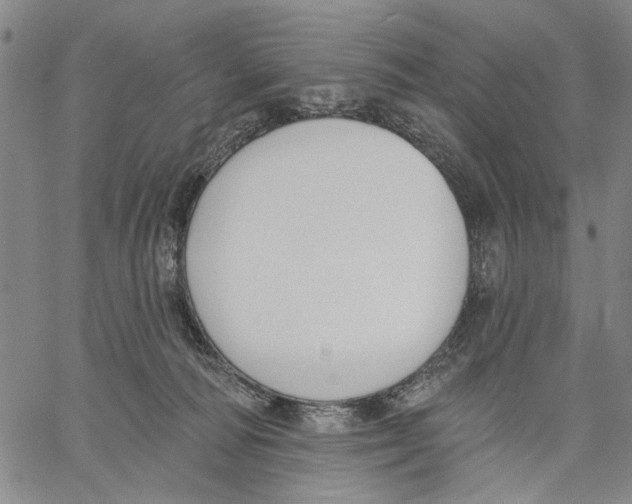 X0000060560226200512011650