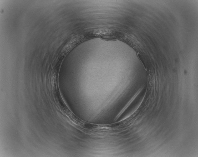 X0000060560227200512011650