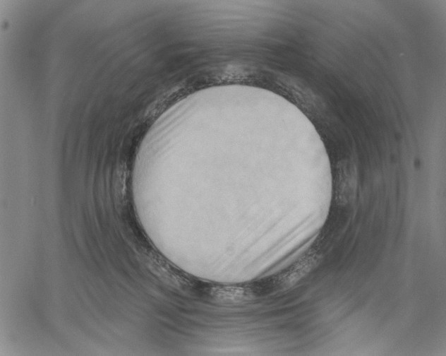 X0000060560230200512011650
