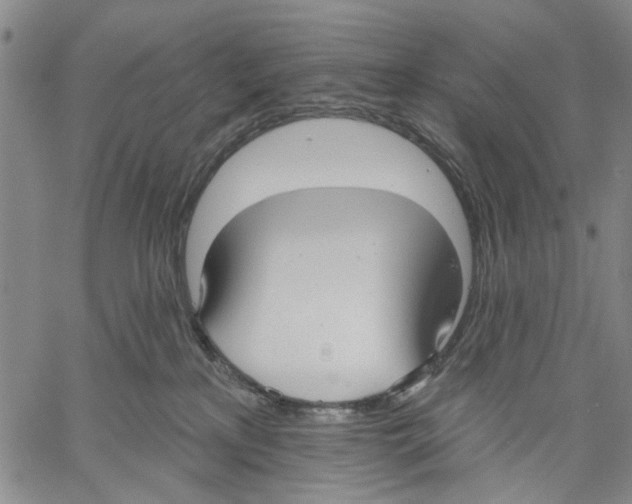 X0000060560233200512011650
