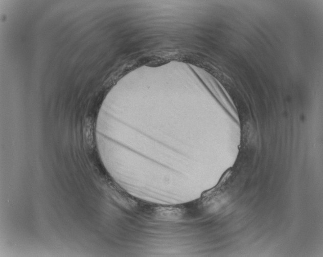 X0000060560234200512011650