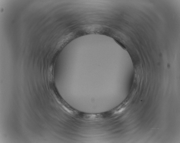 X0000060560239200512011650