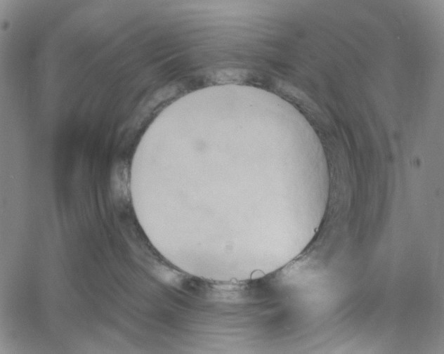 X0000060560240200512011650