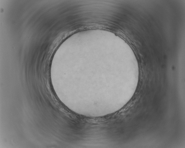 X0000060560241200512011649