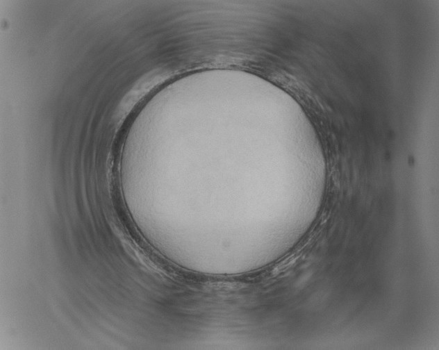 X0000060560242200512011649