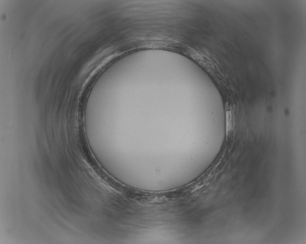 X0000060560243200512011649