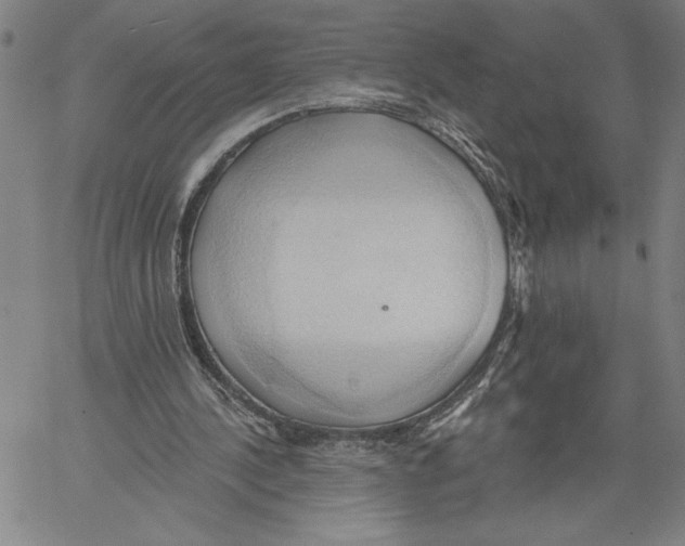 X0000060560244200512011649