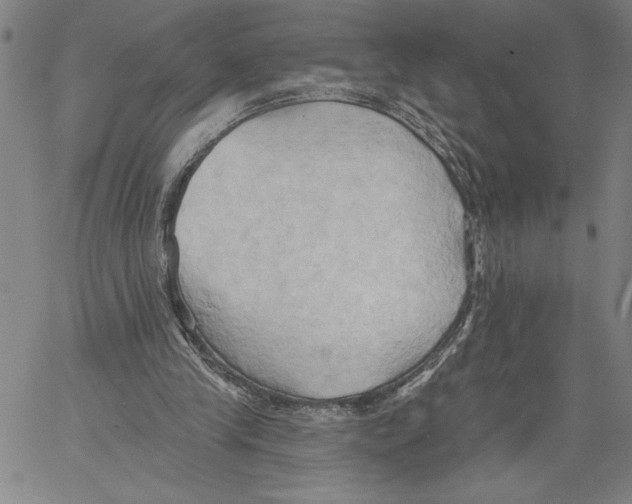 X0000060560245200512011649