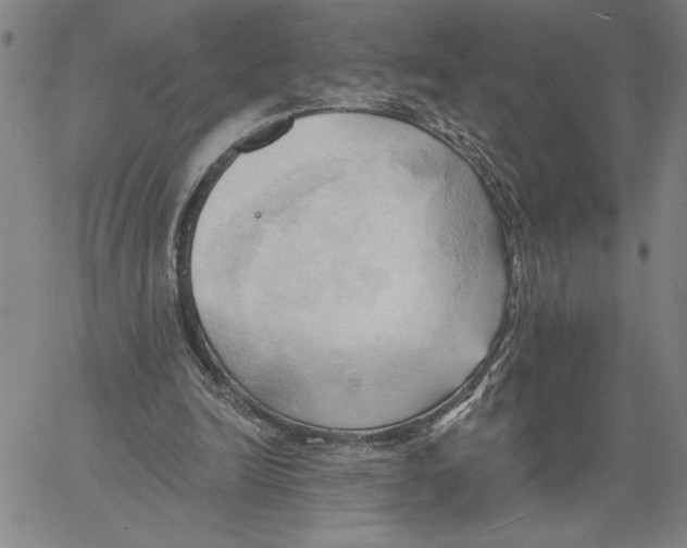 X0000060560246200512011649
