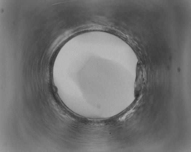 X0000060560247200512011649