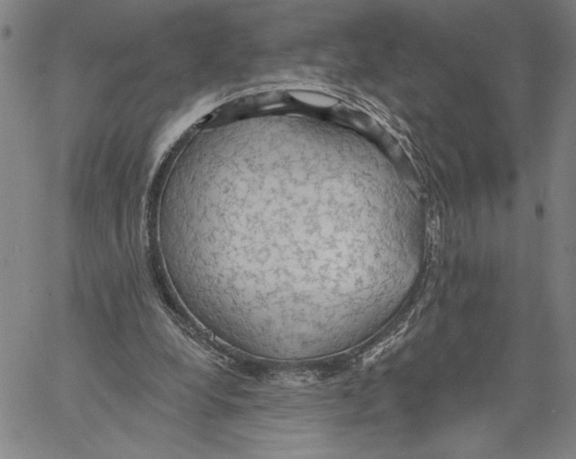 X0000060560248200512011649