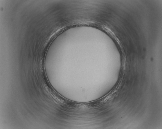X0000060560249200512011649