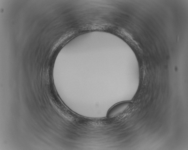 X0000060560250200512011649